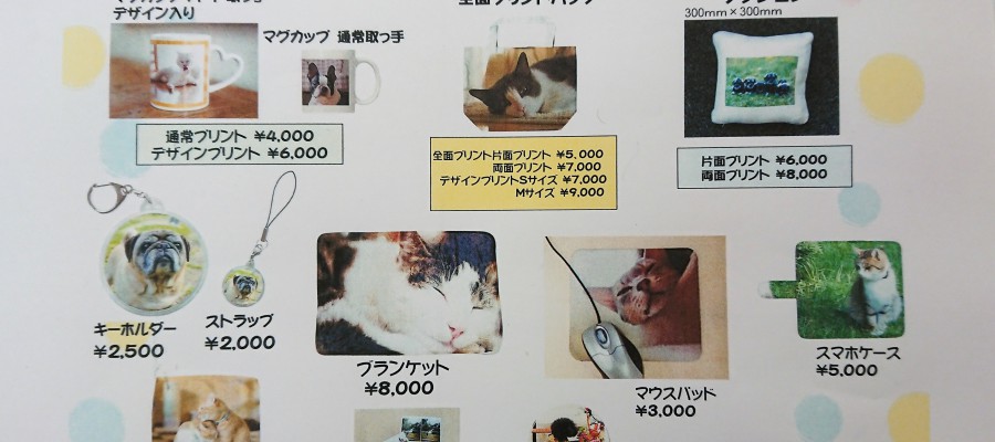 9/1(土)犬吉猫吉さん主催「Photo joy!」