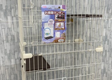 商品のご紹介（ゲージ/猫ちゃん）