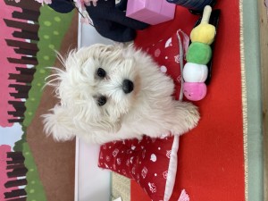 IMG_4901.jpeg